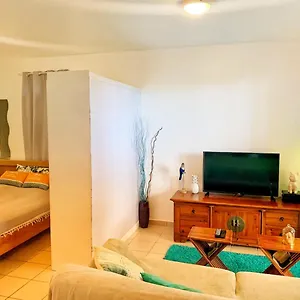 https://superbe-studio-cosy-proche-plage-et-commodits.comcaribbean.com